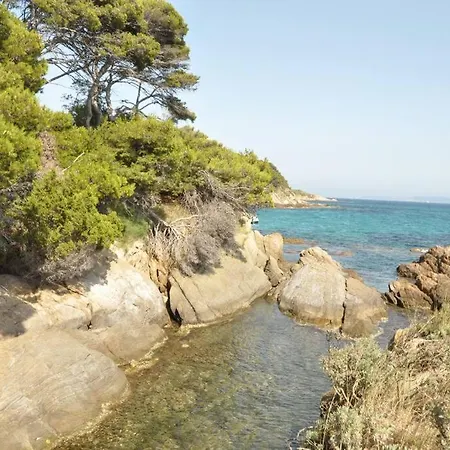 Abeille : Douces D'ete Avec Vue