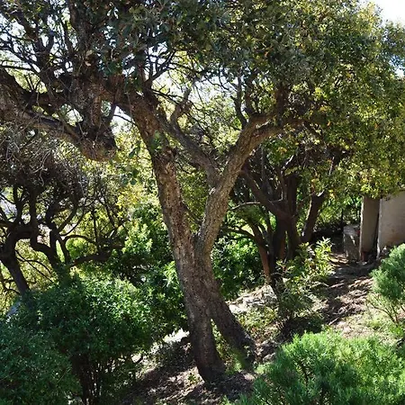 Abeille : Douces D'ete Avec Vue Villa *