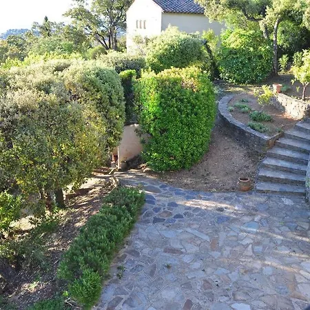 Abeille : Douces D'ete Avec Vue Villa Cavalaire-sur-Mer